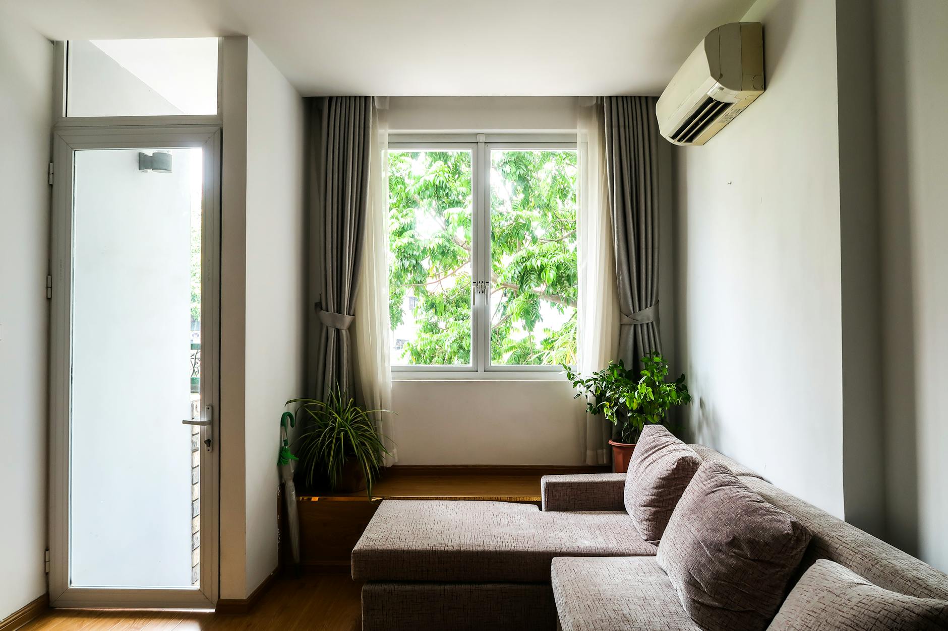 a cozy couch near the window and plants