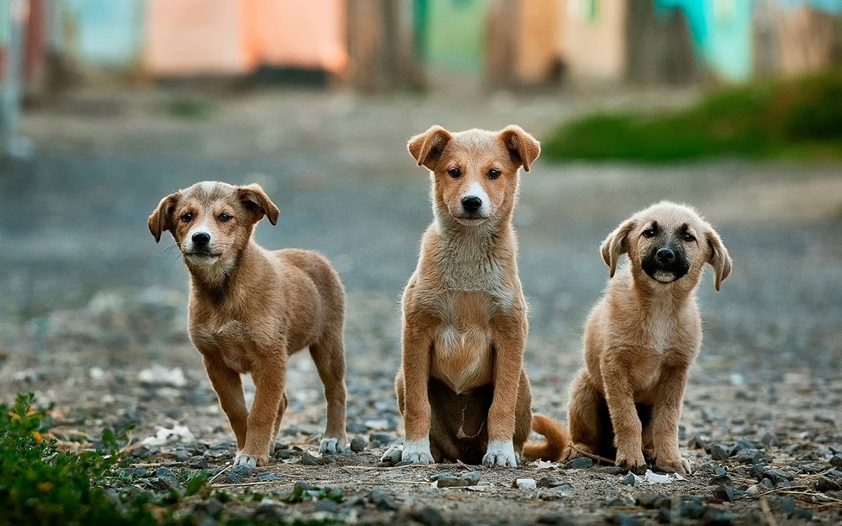 anoir chafik 2 3c4difyfu unsplash